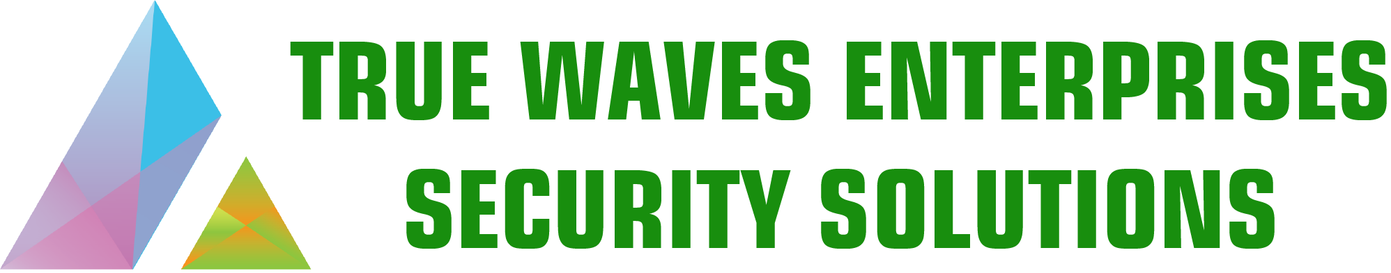 True Waves Enterprises